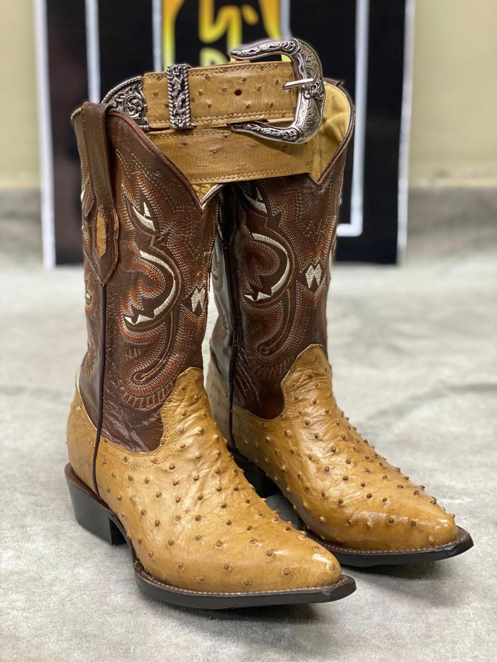 <h4>Botas de Avestruz </h4>